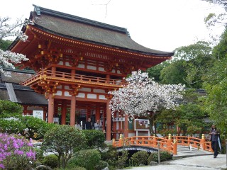 上賀茂神社：楼門と賀茂桜